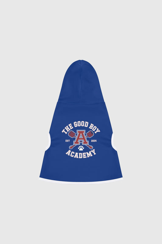 Golden retriever wearing blue the good boy academy dog hoodie