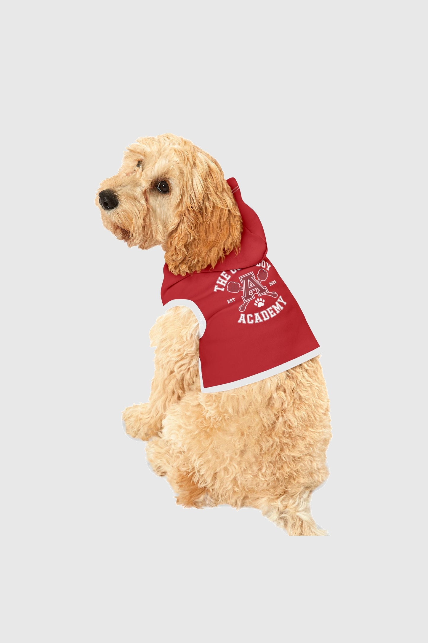 Beagle wearing red the good boy academy dog hoodie