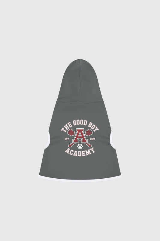 Golden retriever wearing gray the good boy academy dog hoodie