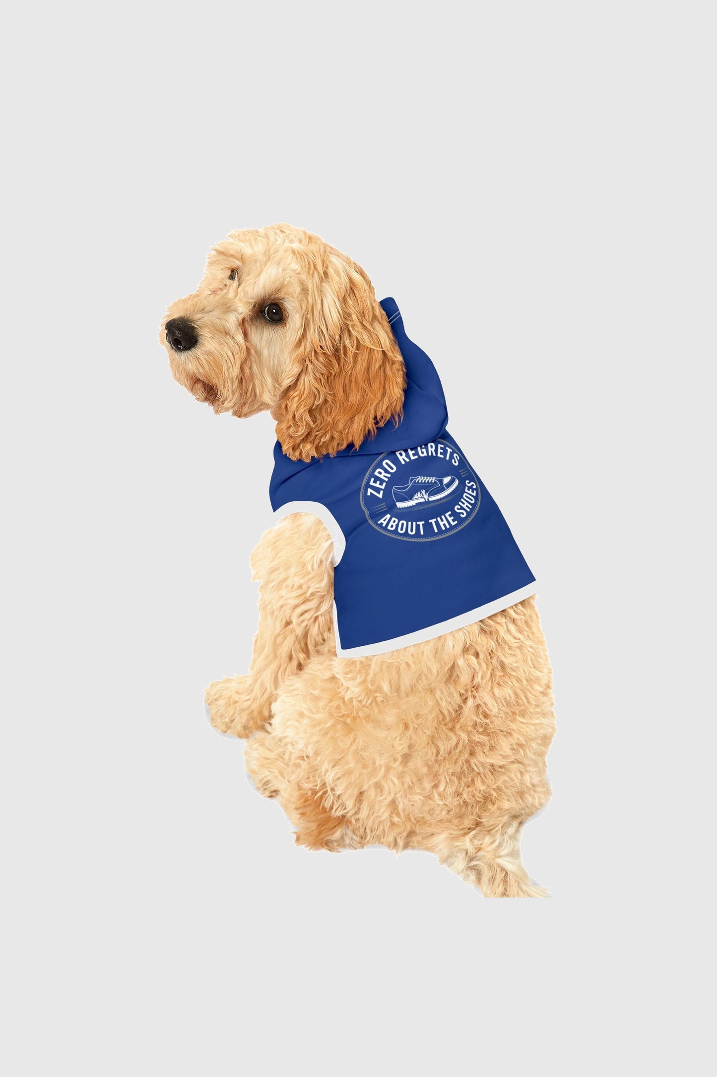 Beagle wearing blue zero regrets about the shoes dog hoodie