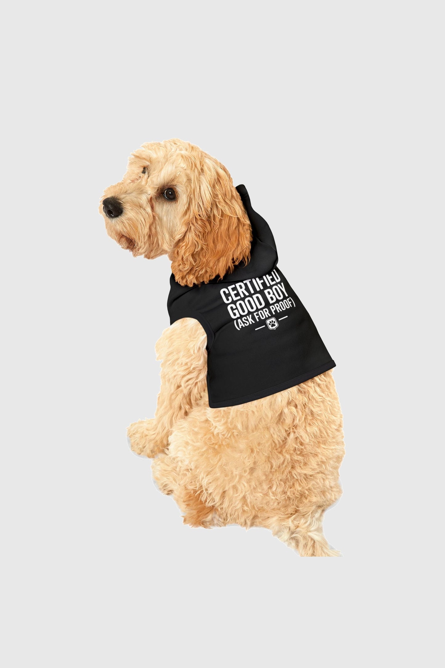 Labrador wearing black certified good boy ask for proof dog hoodie