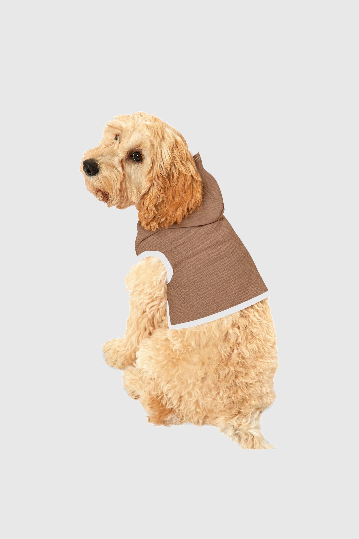 Basset hound wearing brown cozy fleece dog hoodie