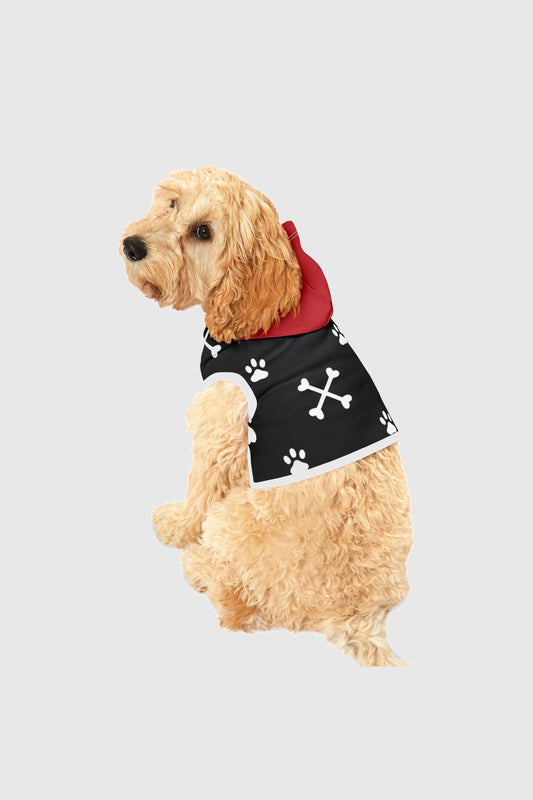 Dachshund wearing white paw print crossbones dog hoodie