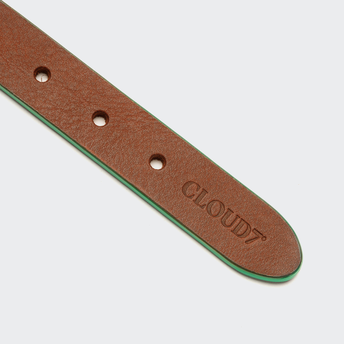 Kings Park dog collar side view, cognac green leather
