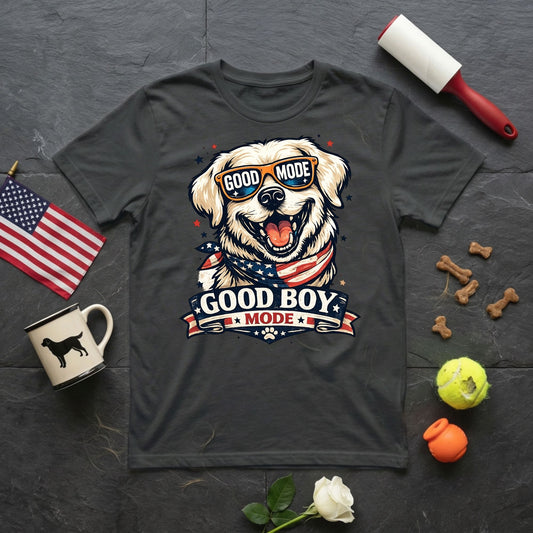 Good Boy Mode T-Shirt