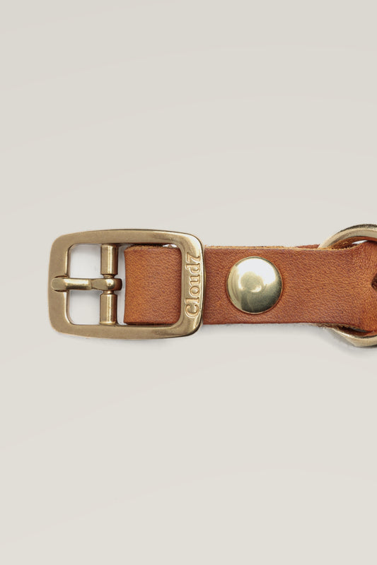 Solid brass buckle and rivet of the Cloud 7 Central Park Camel Gold leather dog collar, close-up
