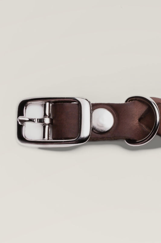 Stainless steel buckle, rivet and D-ring of the brown Cloud 7 Central Park leather dog collar, close-up