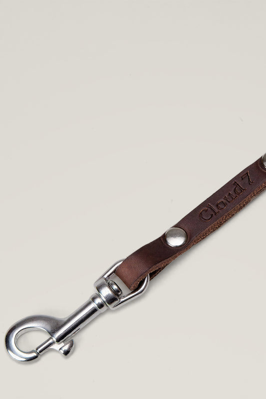 Stainless steel snap hook of the Cloud 7 Central Park braided dog leash, detail