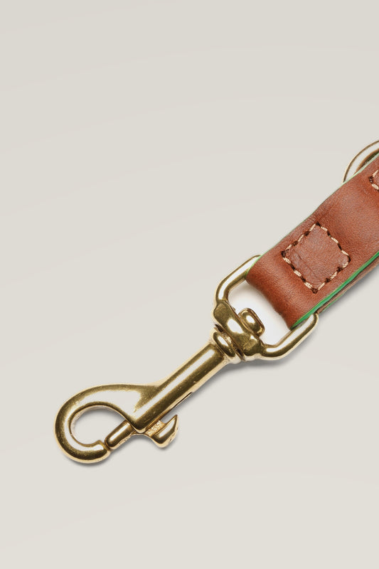 Brass snap hook and C7 leather tag of the Cloud 7 Kings Park dog leash, detail