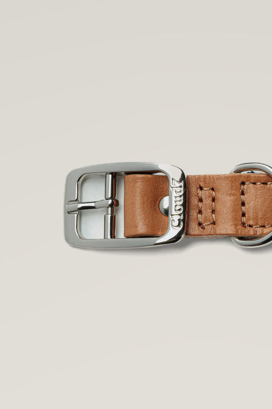 Stainless steel buckle of the Cloud 7 Tivoli Black canvas and leather dog collar, close-up