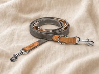 Tivoli canvas leather dog leash combo