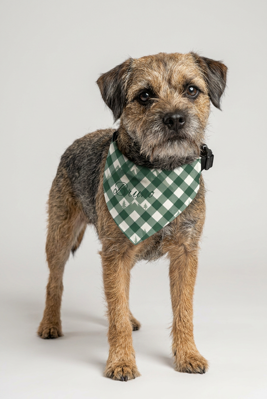 Dachshund wearing green buffalo plaid personalized dog bandana