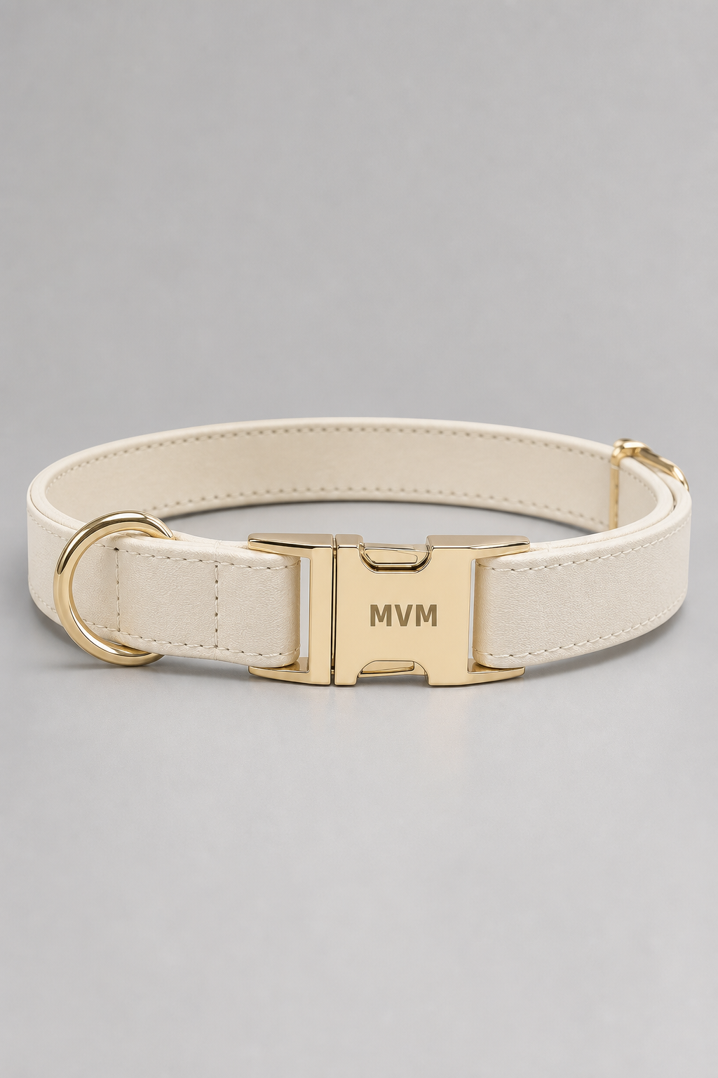 Dog wearing warm beige luxury collar and leash walk set