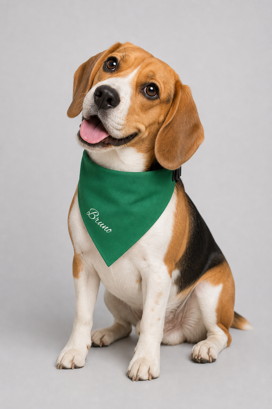 Dachshund wearing green personalized dog bandana with custom name