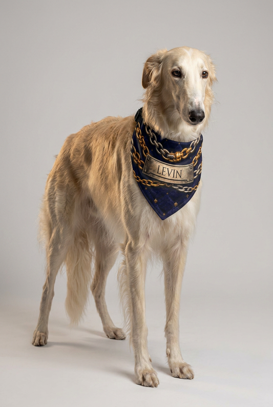 Dachshund wearing navy gold chain personalized dog bandana