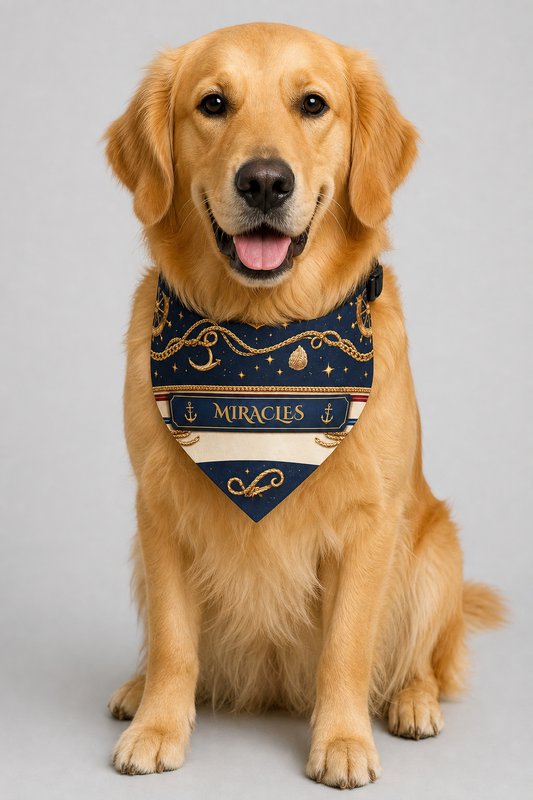 Dachshund wearing nautical personalized dog bandana with custom name