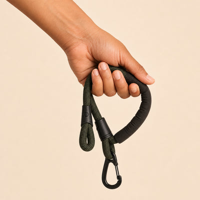 Hand holding a black and green dog leash against a beige background