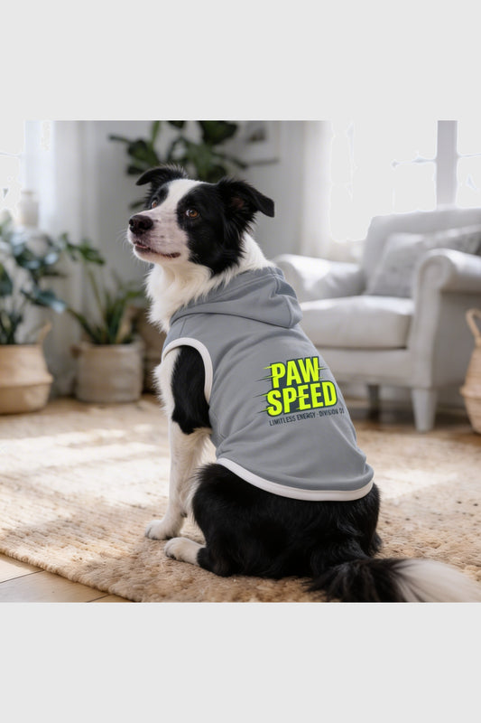 Gray dog hoodie with paw speed print, pullover style