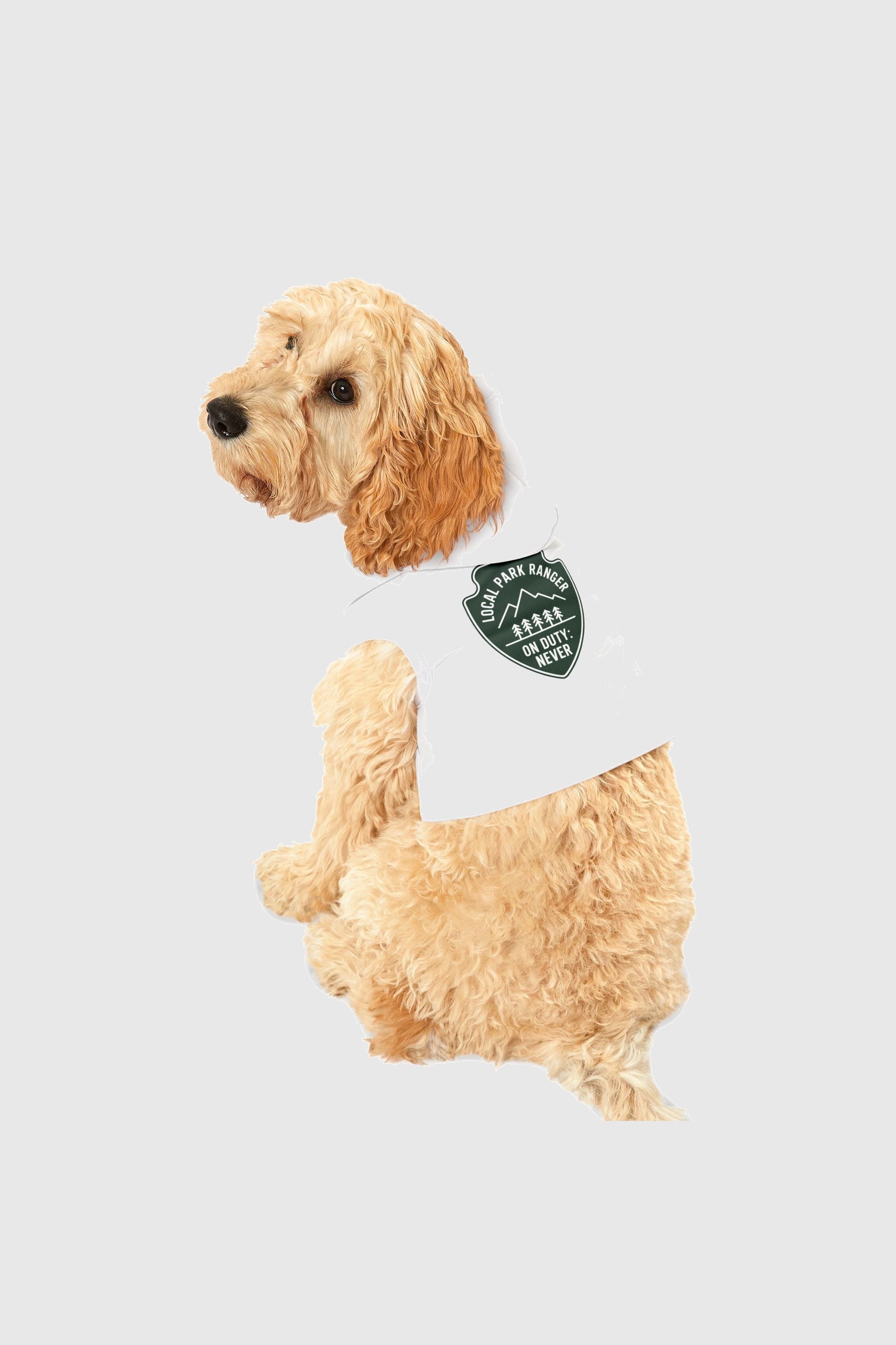 Local park ranger on duty print detail on green dog hoodie