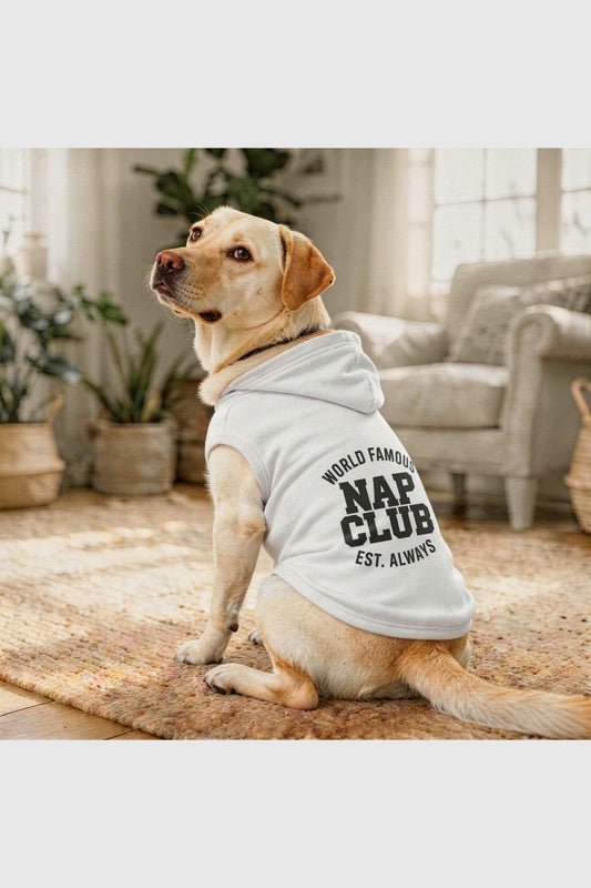 White dog hoodie with world famous nap club print, pullover style