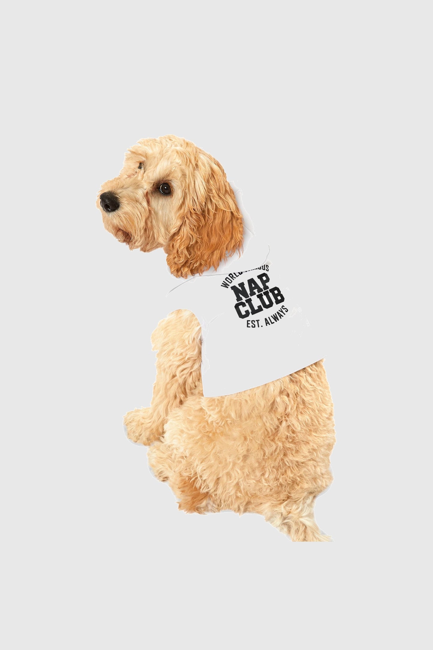 World famous nap club print detail on white dog hoodie