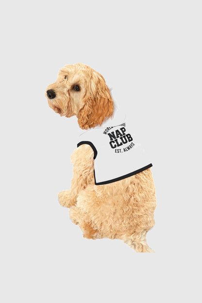 Dachshund wearing white nap club dog hoodie, outdoor photo