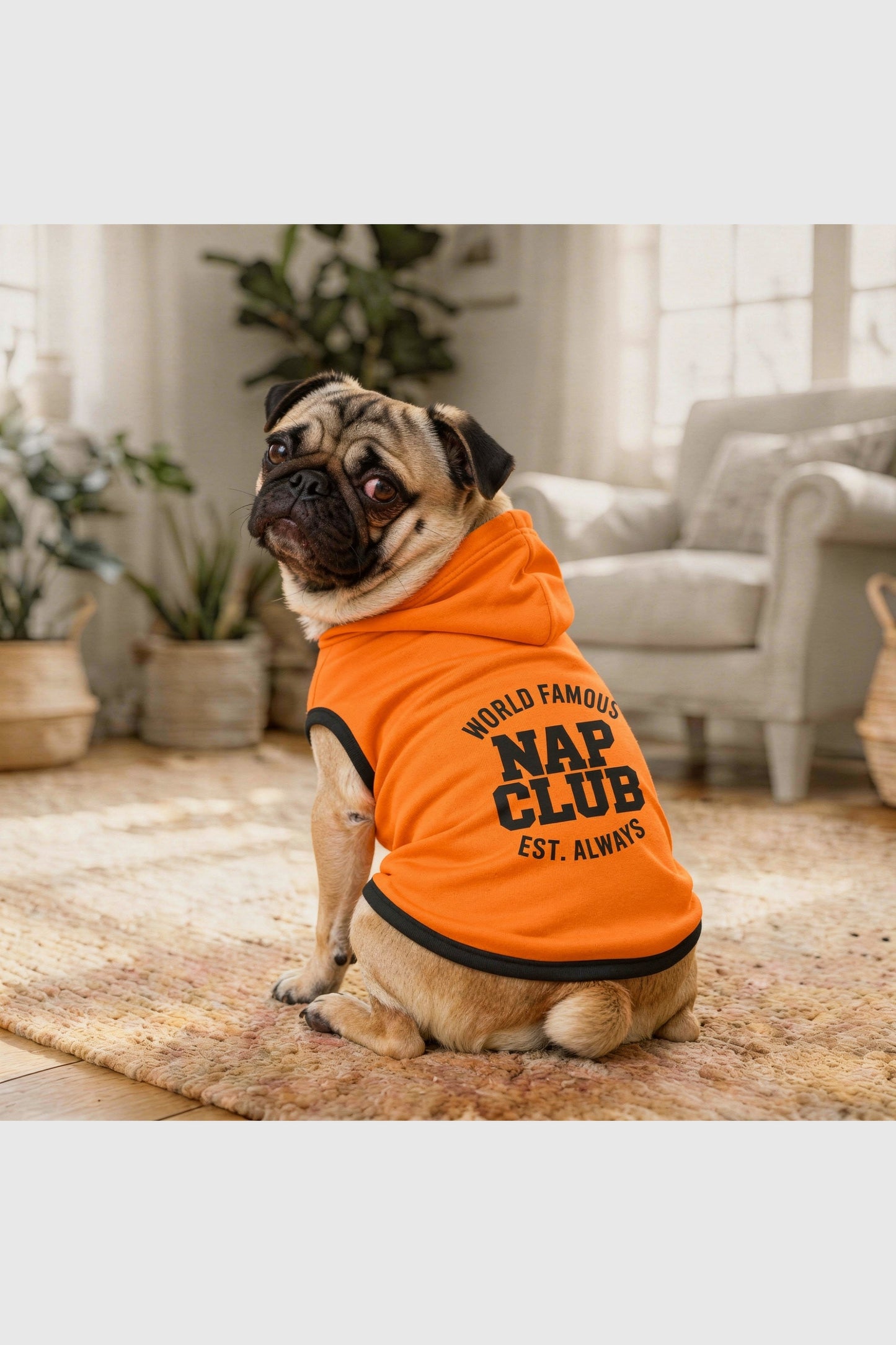 Orange dog hoodie with world famous nap club print, pullover style