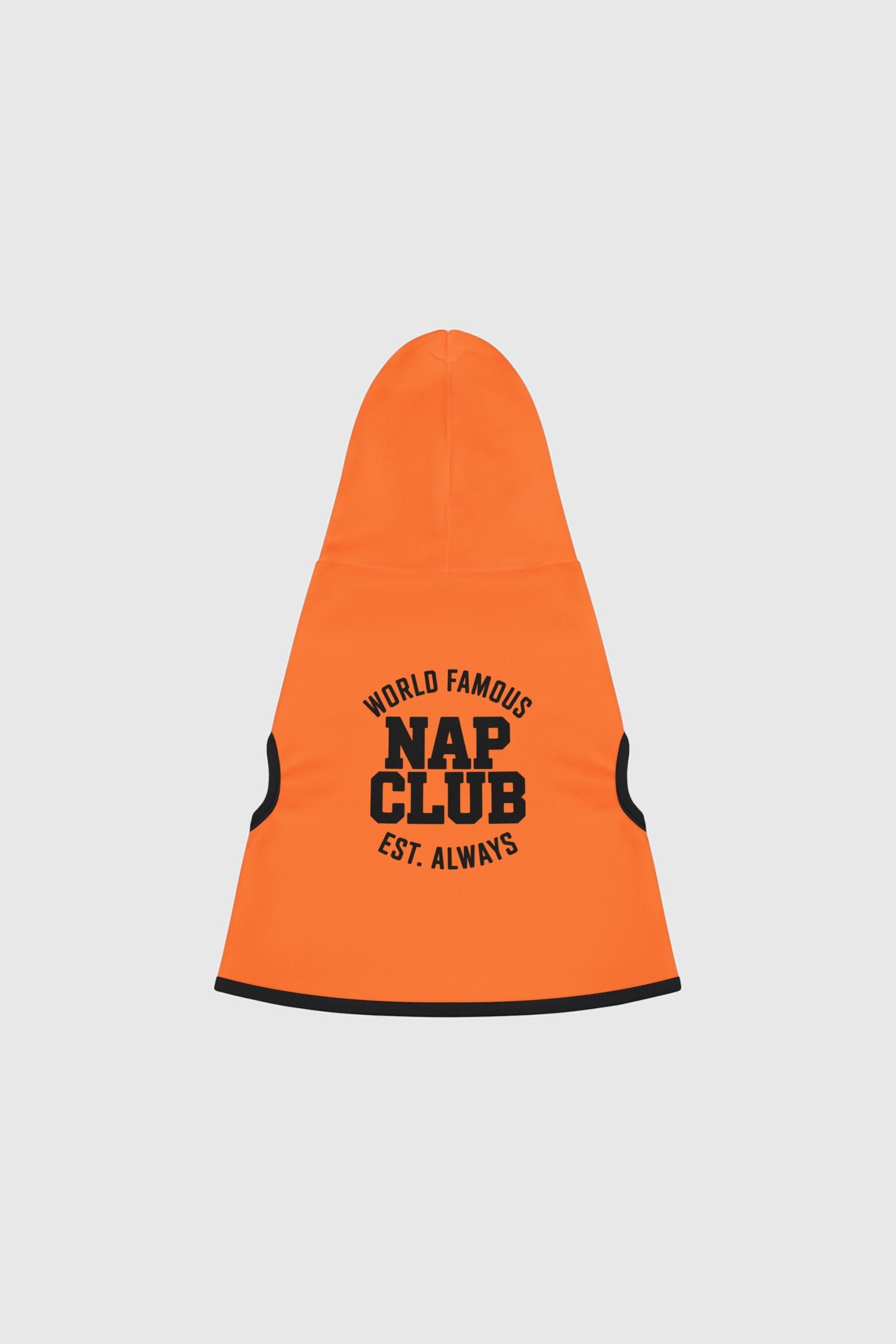 Dachshund wearing orange world famous nap club dog hoodie