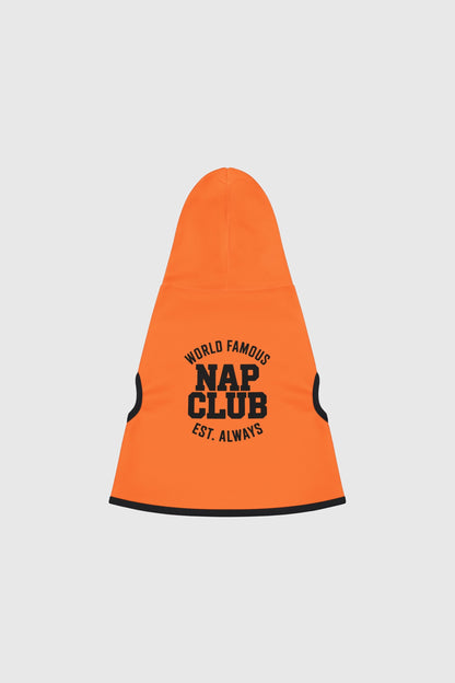 Dachshund wearing orange world famous nap club dog hoodie