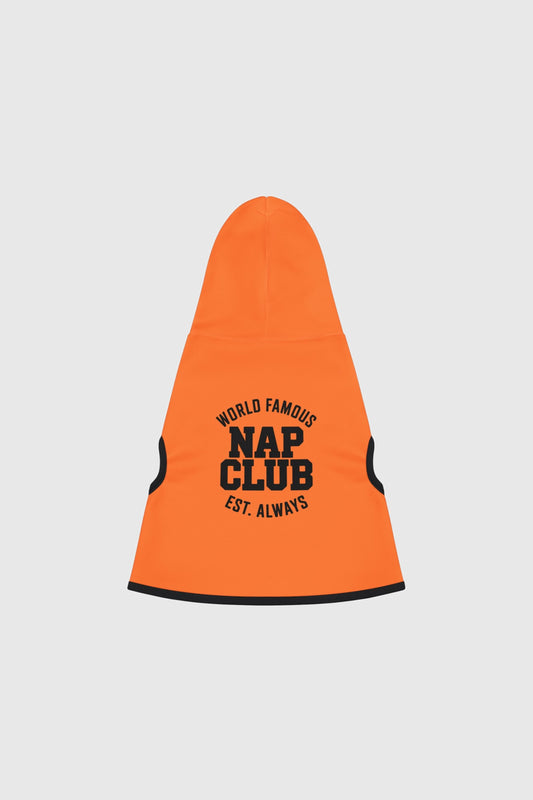 Dachshund wearing orange world famous nap club dog hoodie