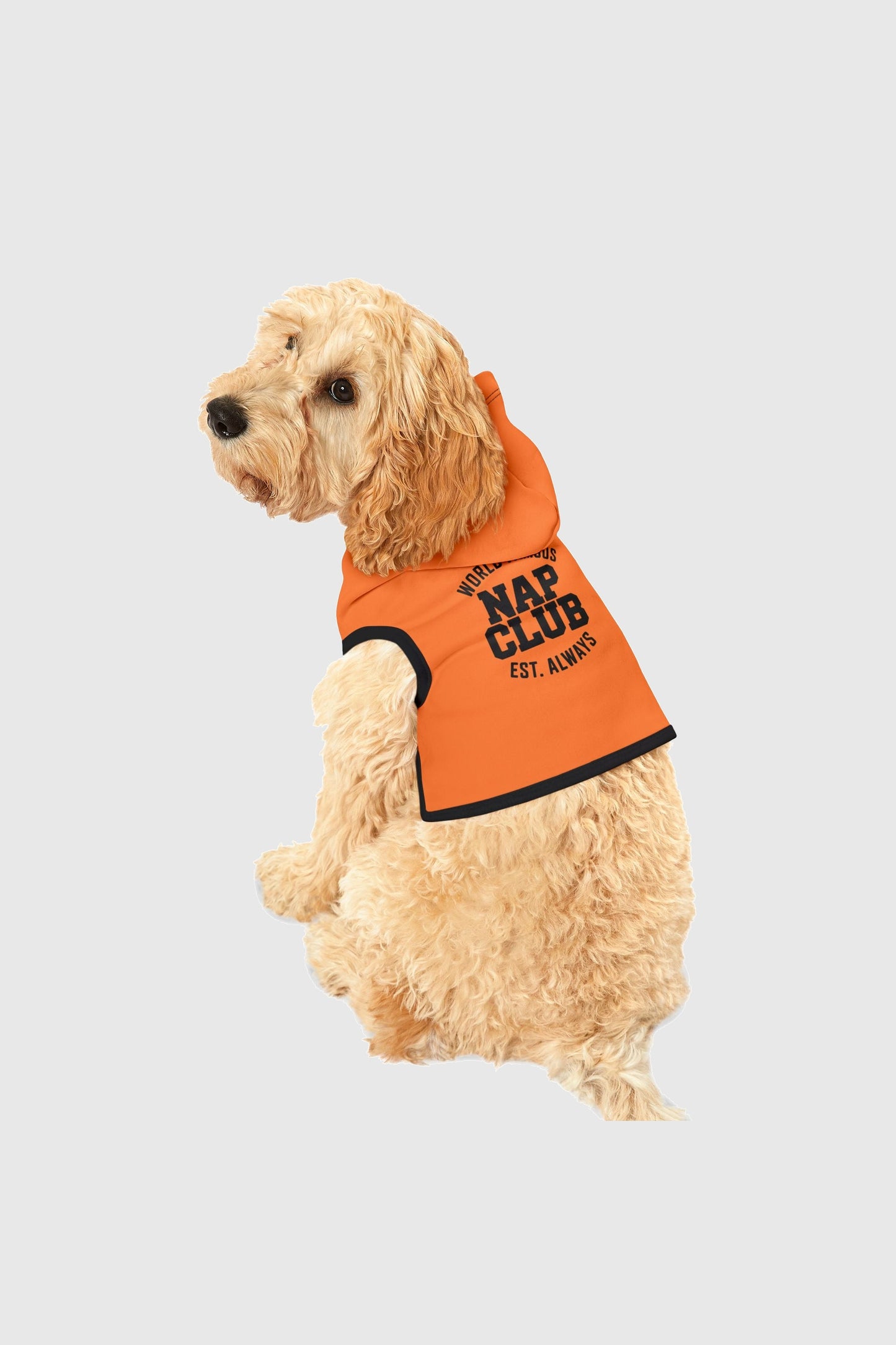 World famous nap club print detail on orange dog hoodie