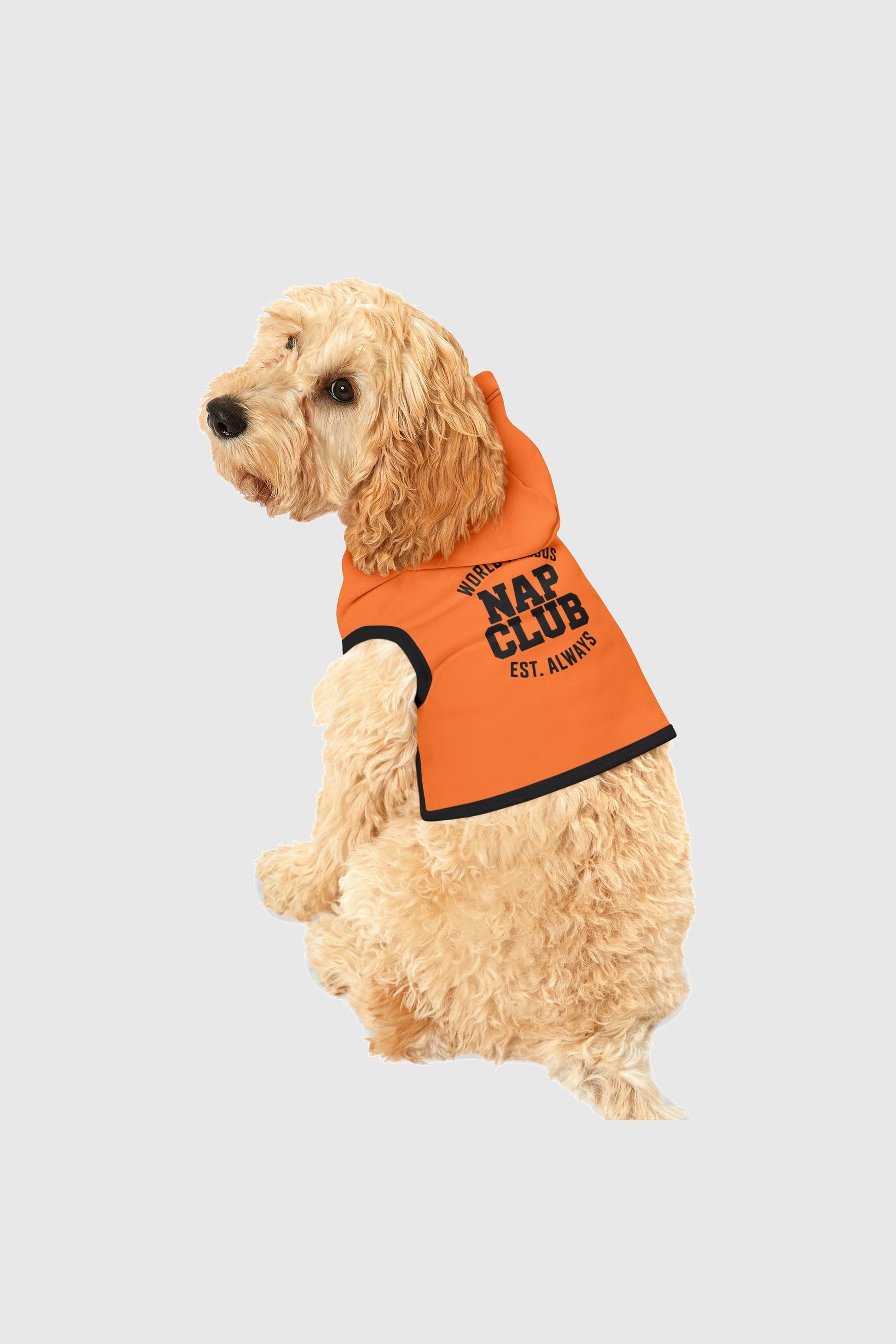 World famous nap club print detail on orange dog hoodie