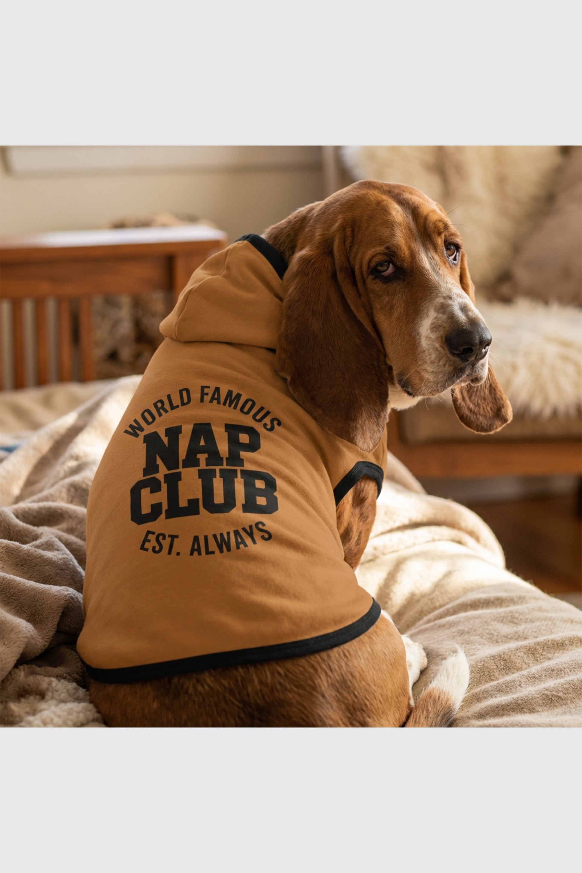 Brown dog hoodie with world famous nap club print, pullover style
