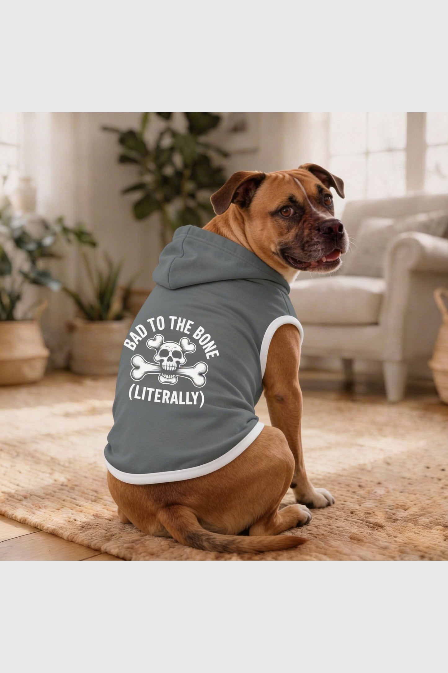 Gray dog hoodie with bad to the bone print, pullover style