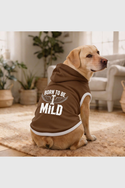 Brown dog hoodie with born to be mild print, pullover style