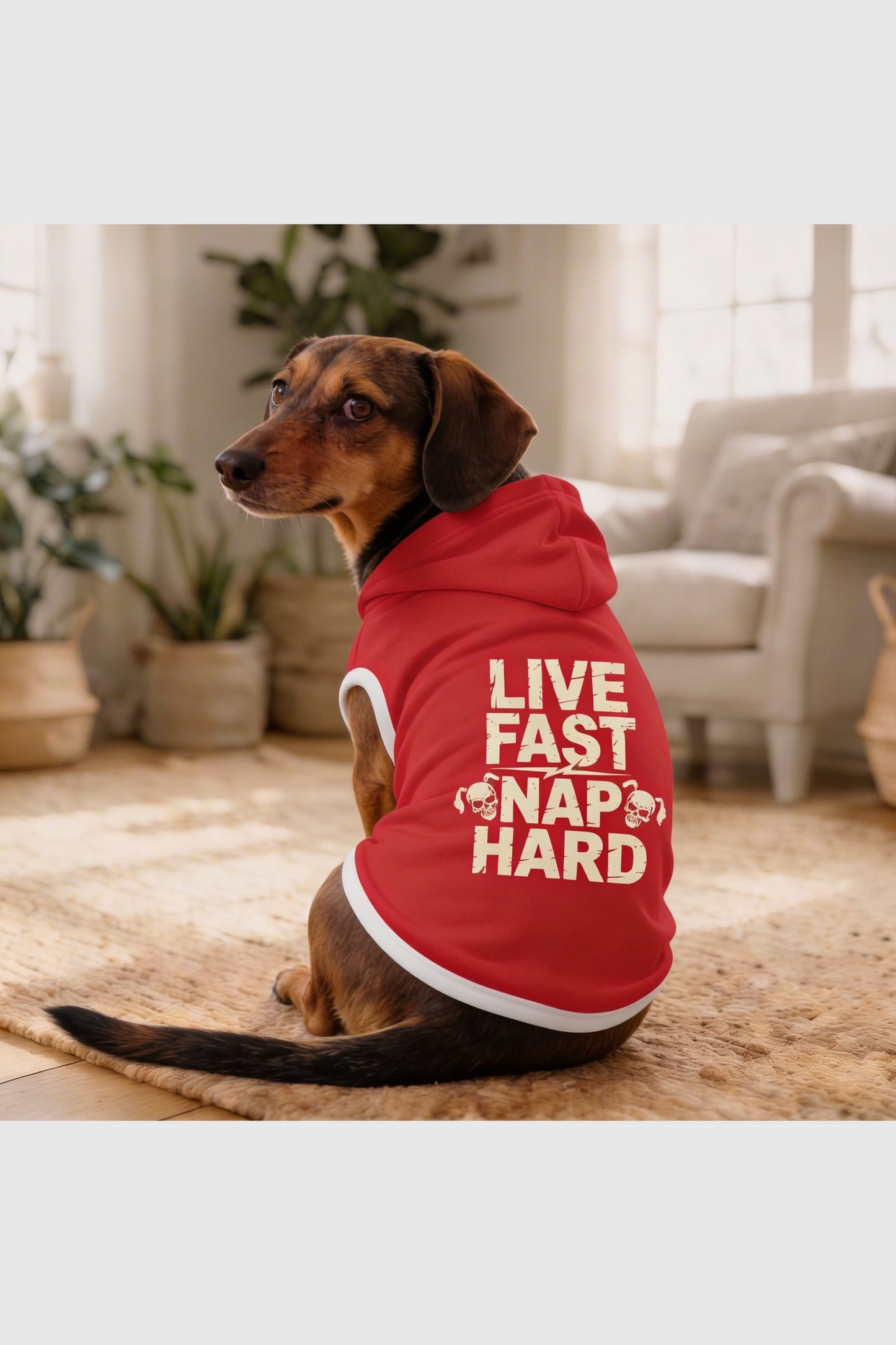 Red dog hoodie with live fast nap hard print, pullover style