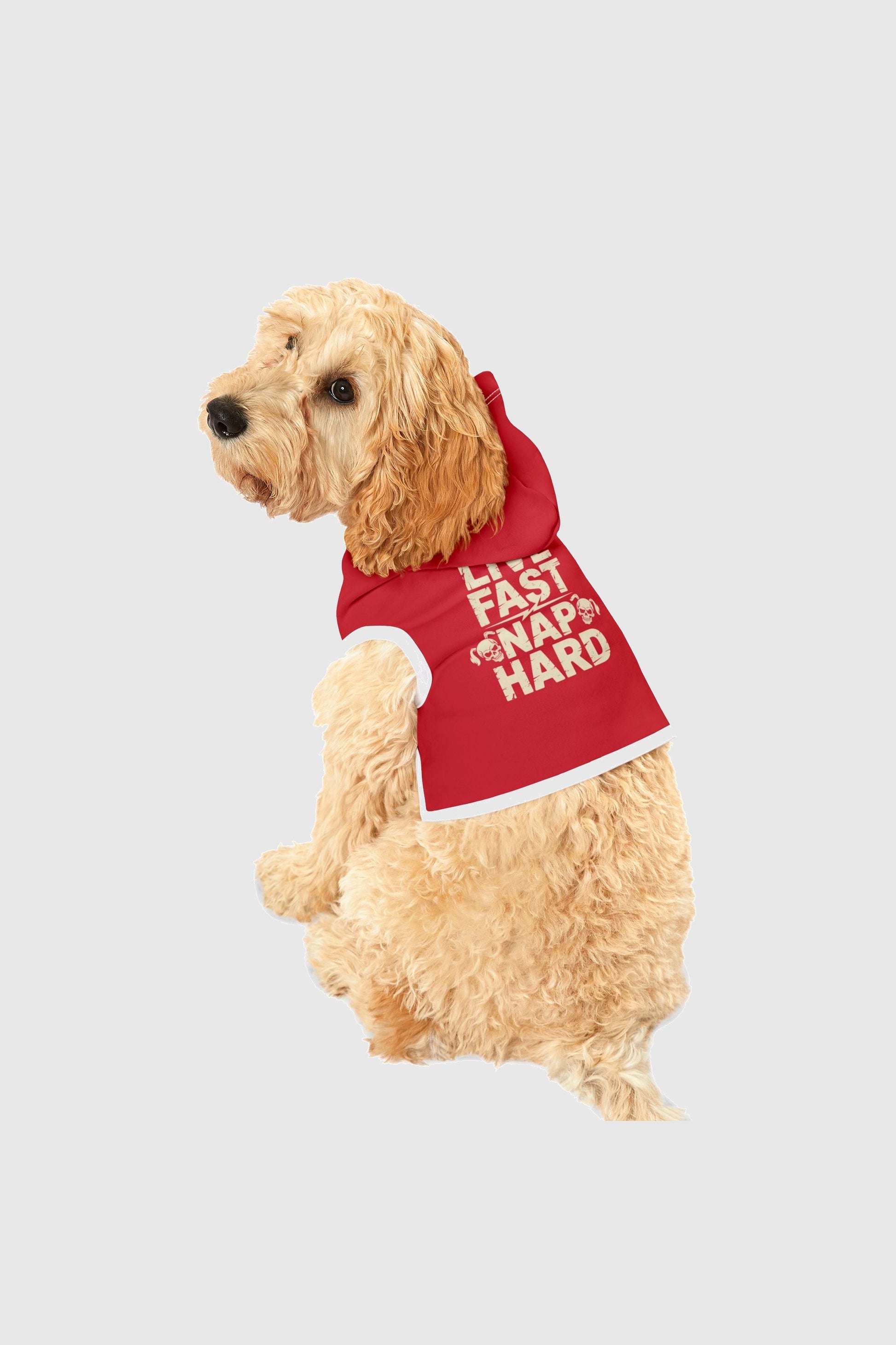 Live fast nap hard print detail on red dog hoodie