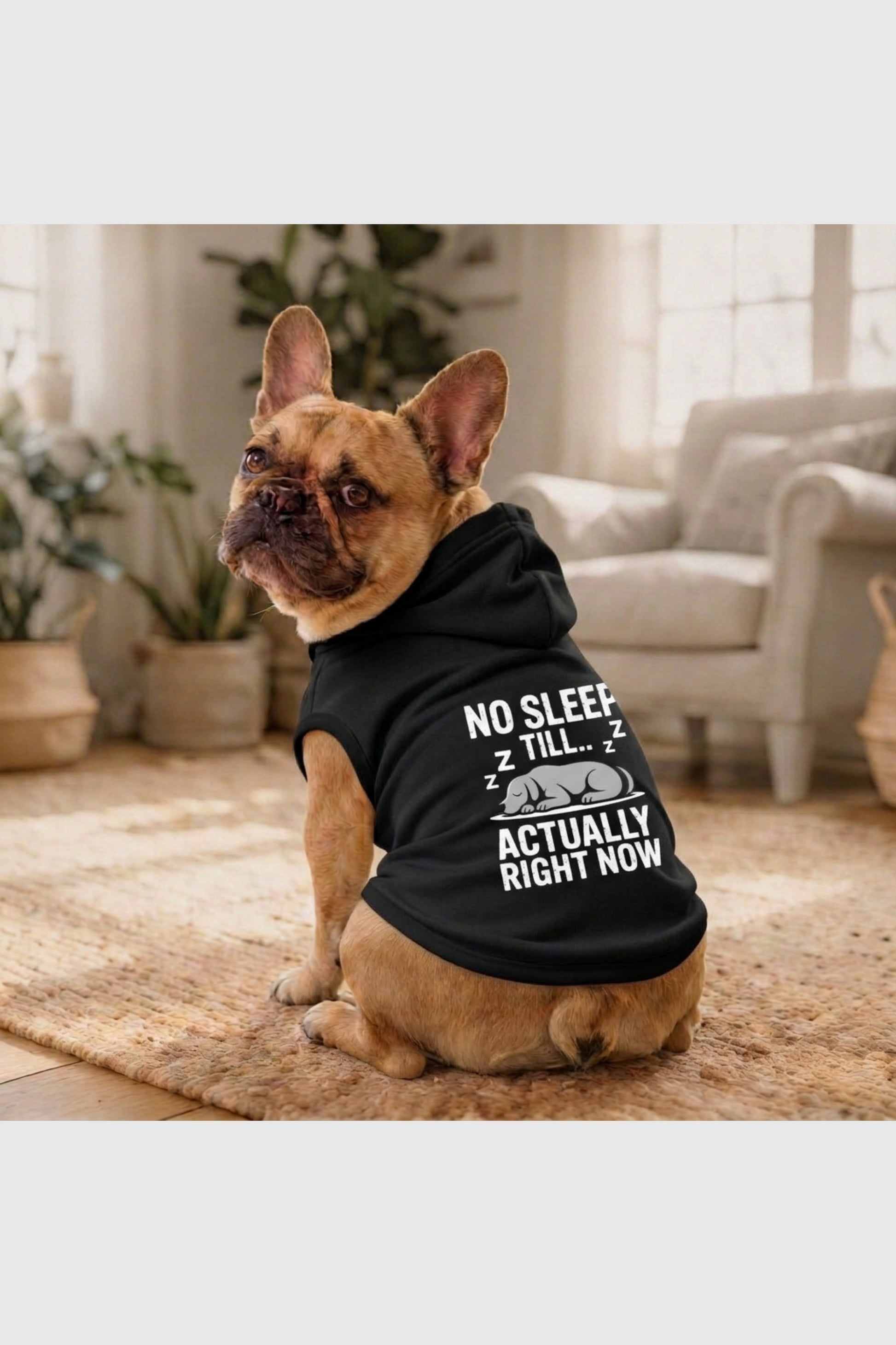 Black dog hoodie with no sleep till print, pullover style