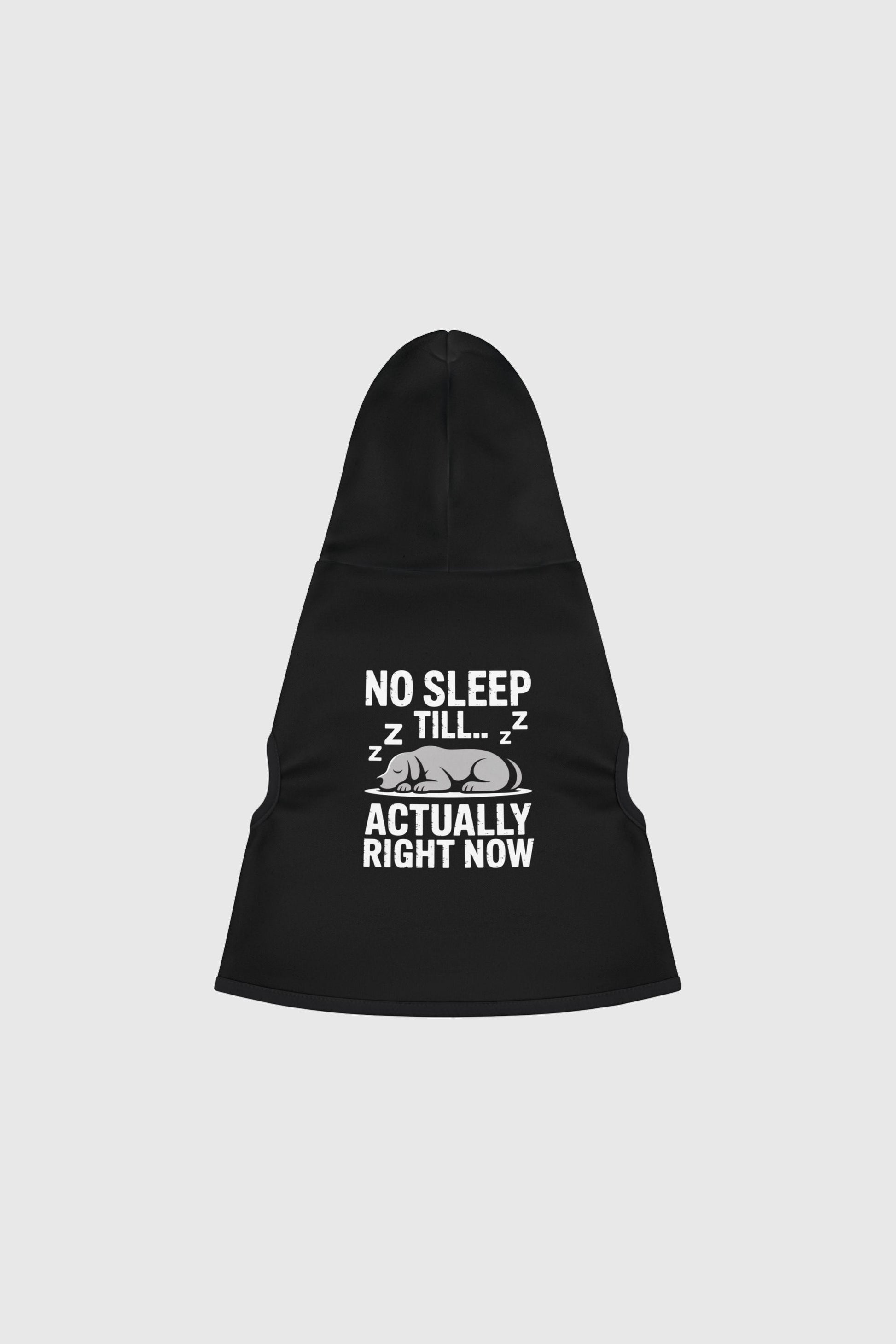 Dachshund wearing black no sleep till dog hoodie