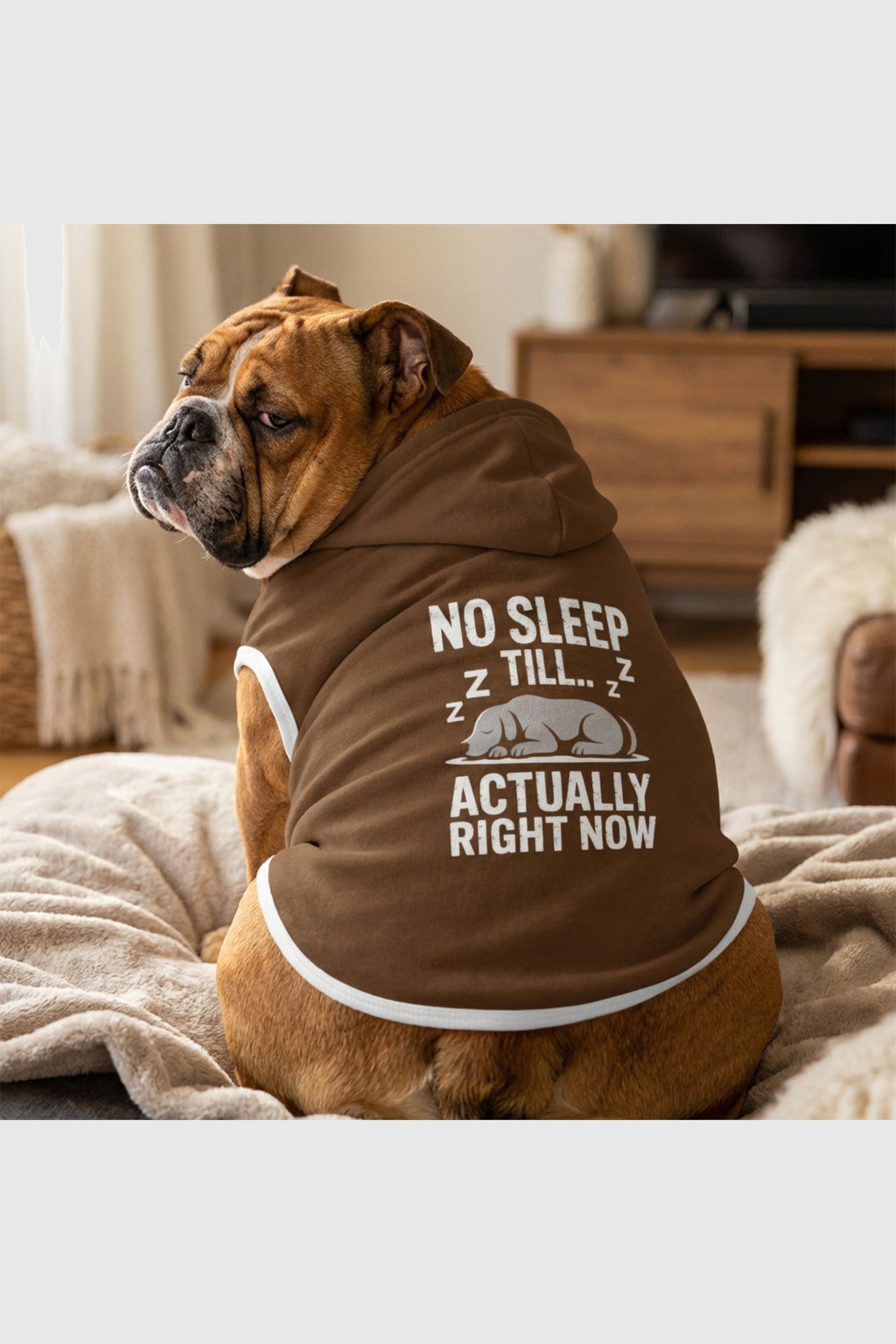 Brown dog hoodie with no sleep till print, pullover style