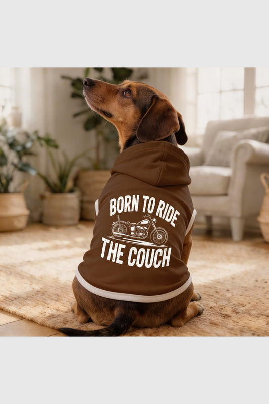 Brown dog hoodie with born to ride the couch print, pullover style