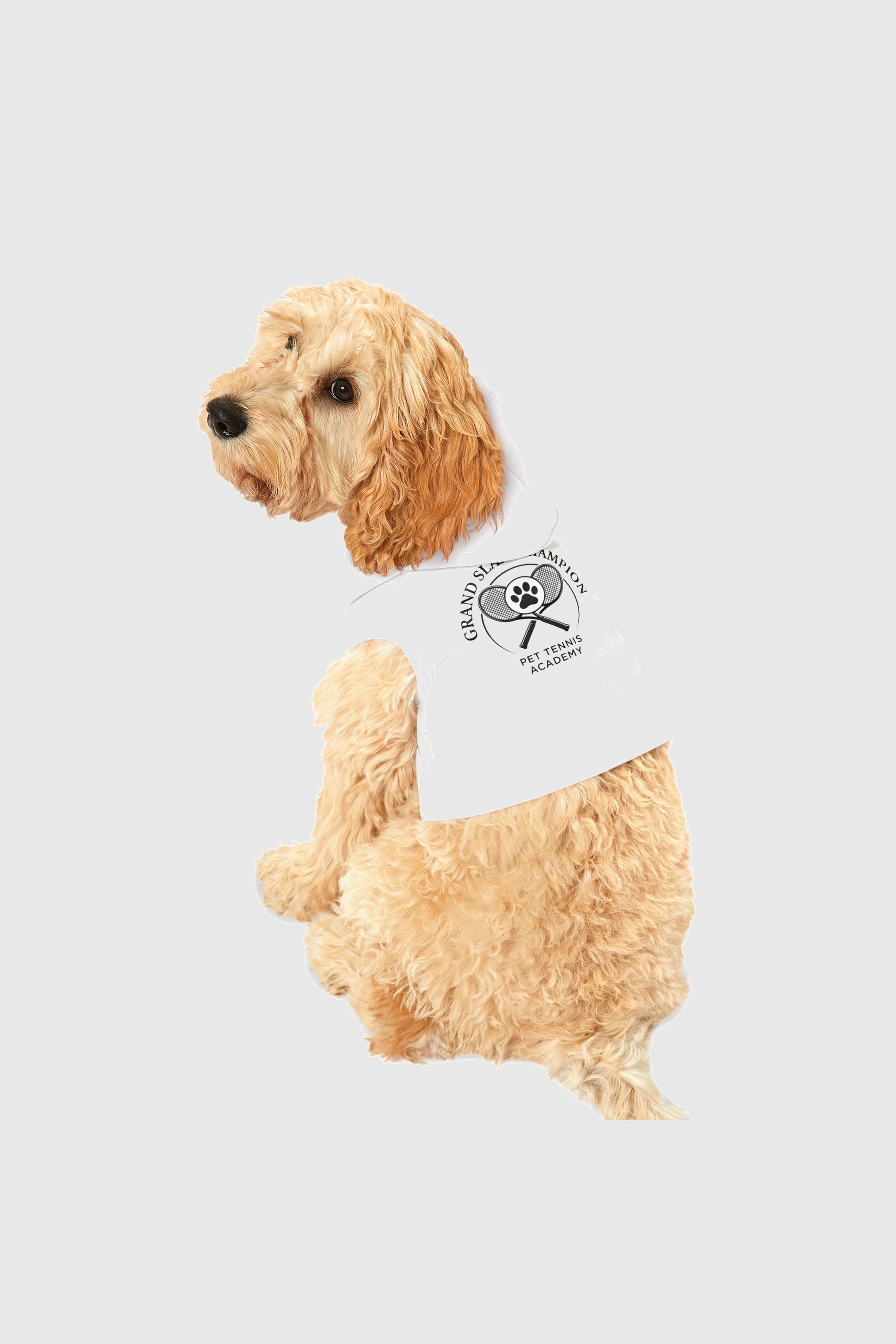 Border collie wearing white grand slam champion dog hoodie
