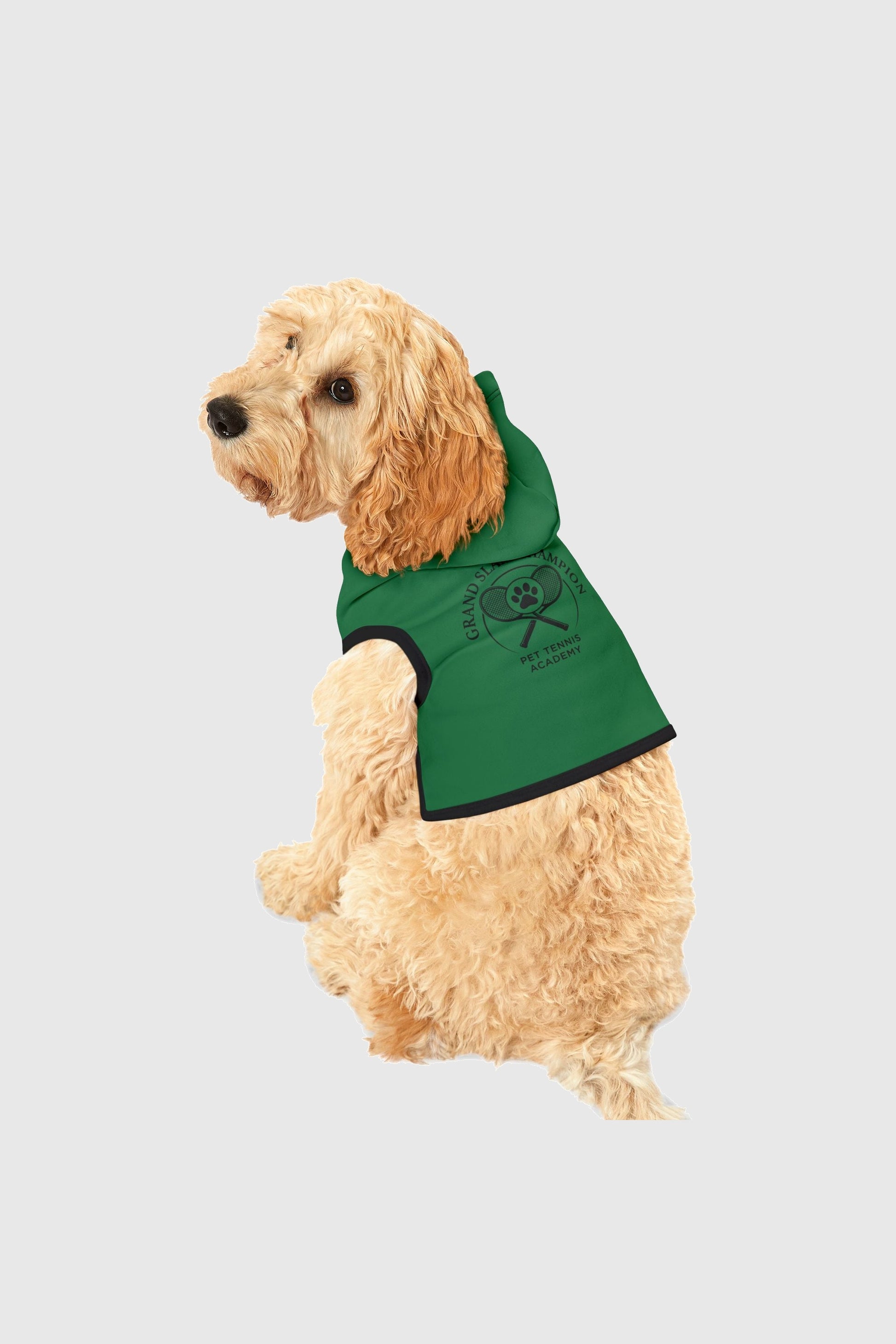 Golden retriever wearing green grand slam champion dog hoodie