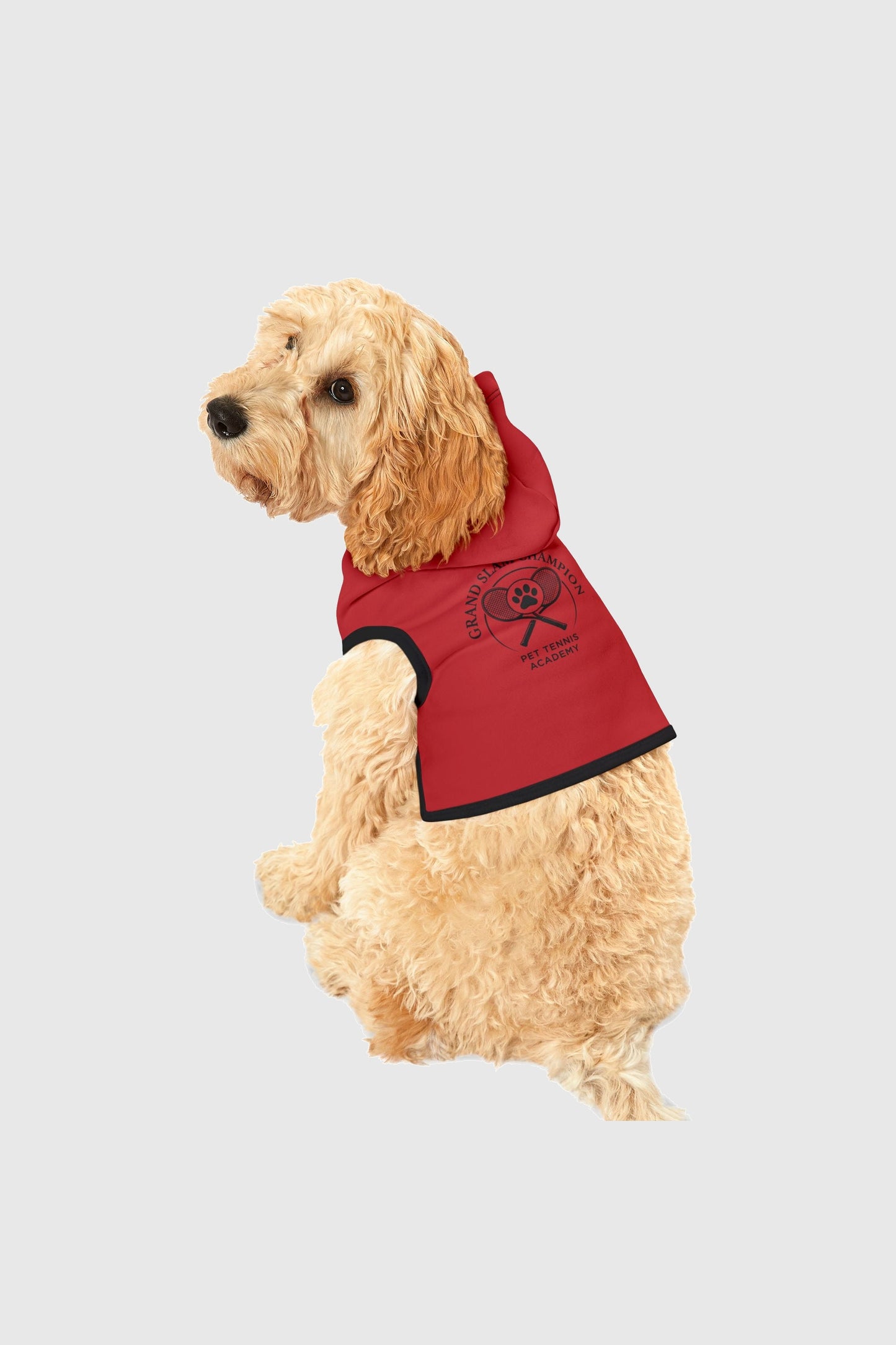 Grand slam champion print detail on red dog hoodie