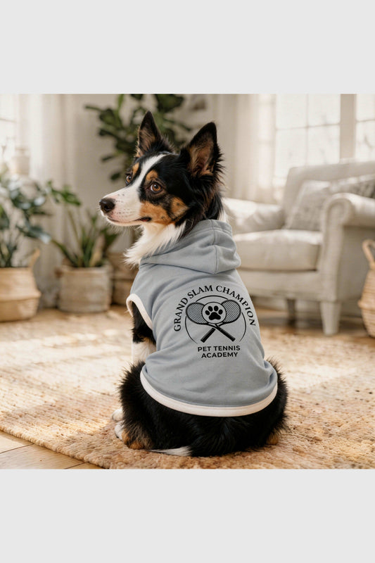 Gray dog hoodie with grand slam champion print, pullover style