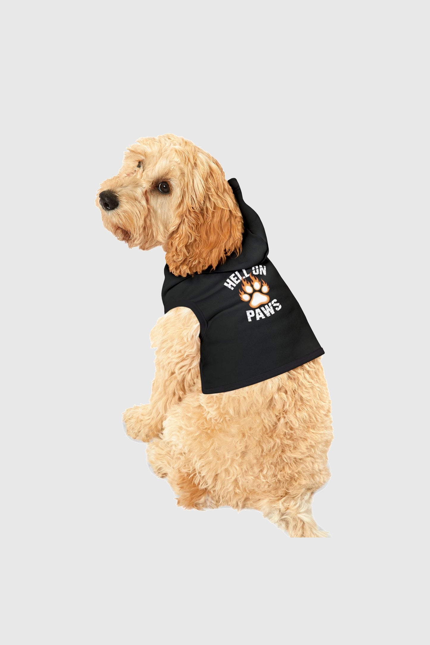 Beagle wearing hell on paws dog hoodie