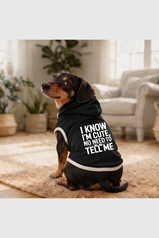 Black dog hoodie with i know i'm cute print, pullover style