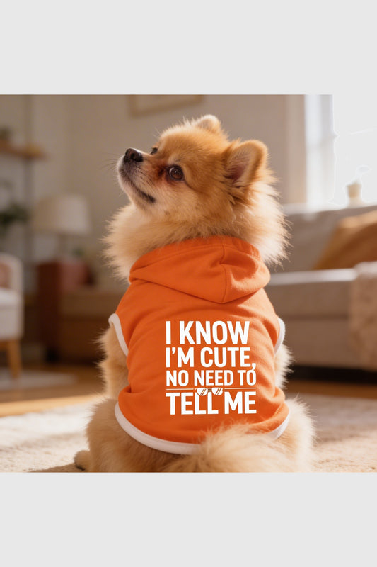 Orange dog hoodie with i know i'm cute print, pullover style