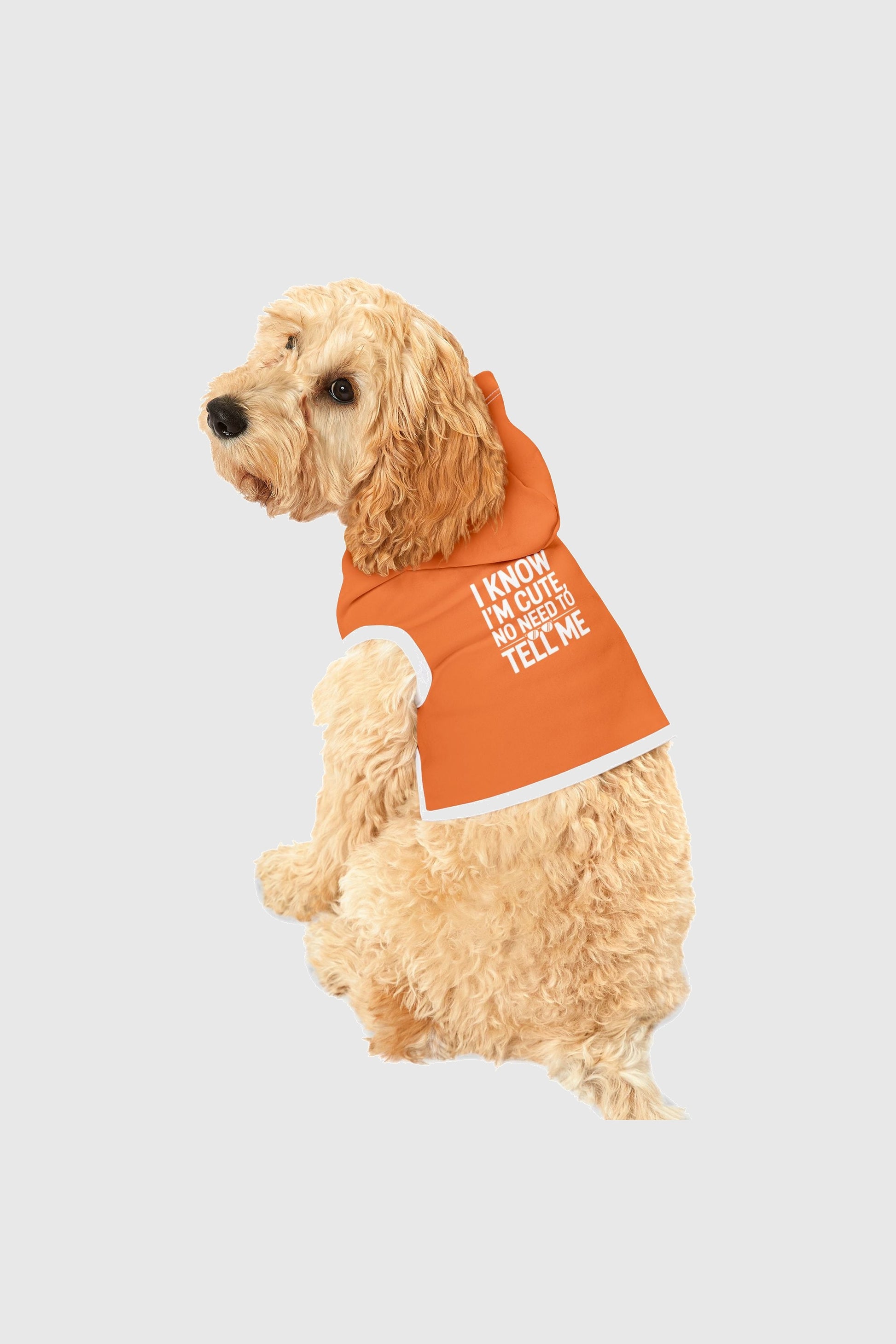 I know i'm cute print detail on orange dog hoodie