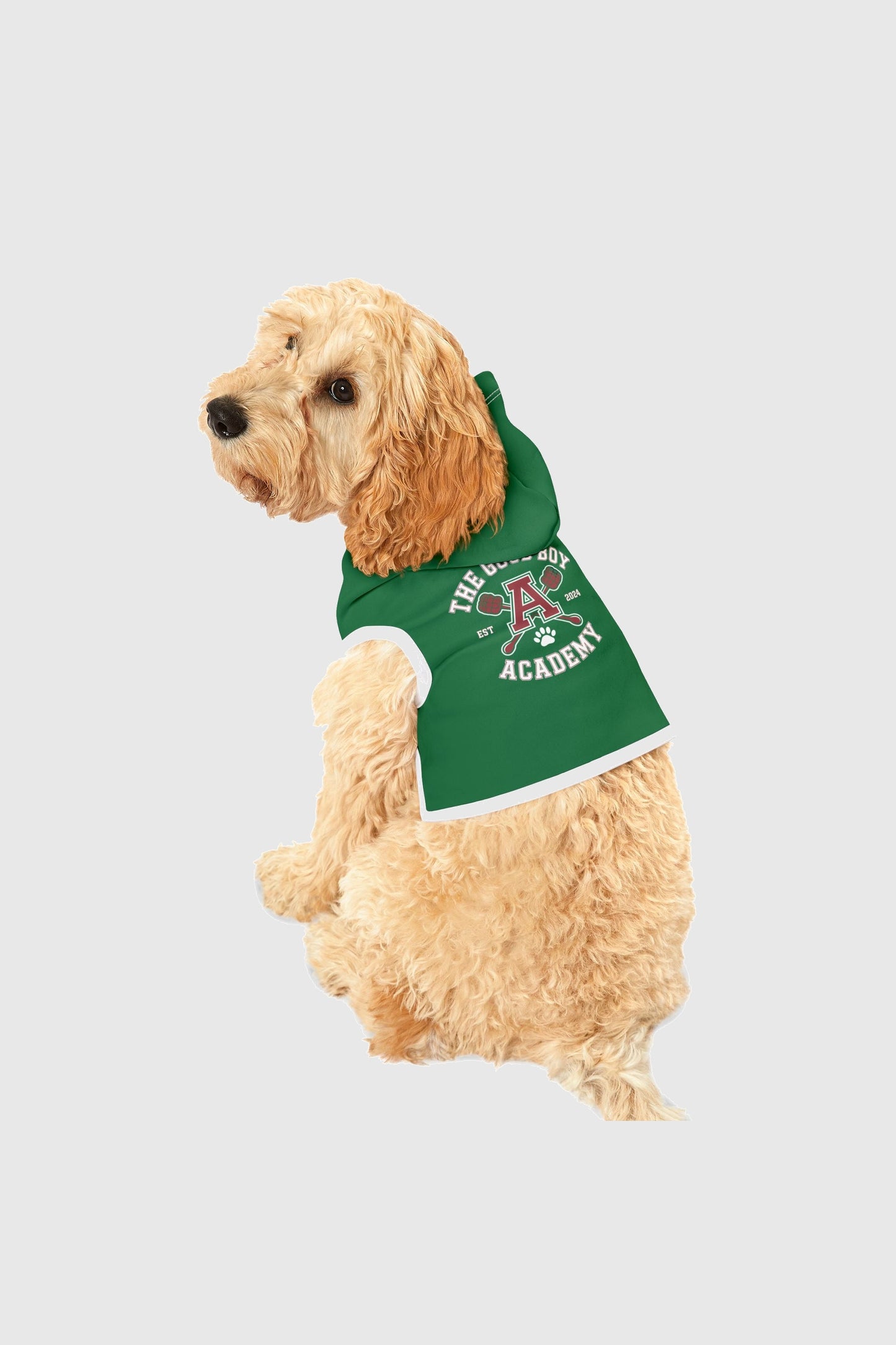 The good boy academy print detail on green dog hoodie